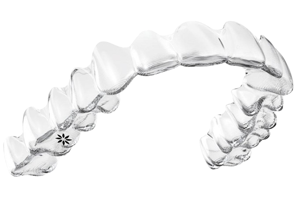 invisalign şeffaf plak 3D modeli